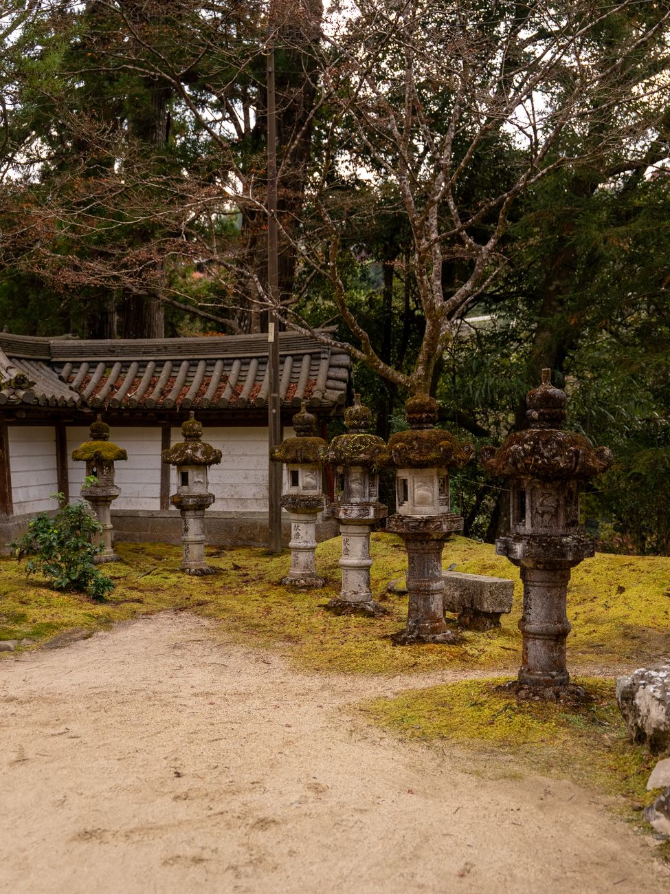Traditional wooden pavilion in Japanese temple garden